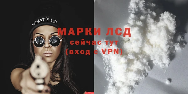 спайс Бородино