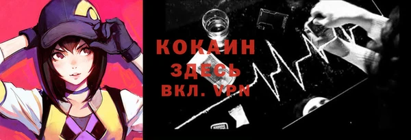 PSILOCYBIN Богданович