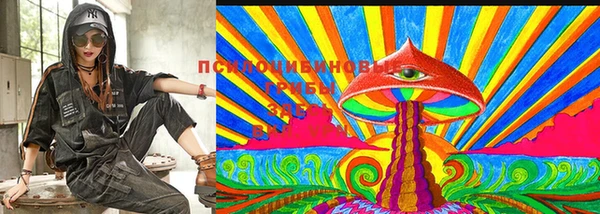 спайс Бородино