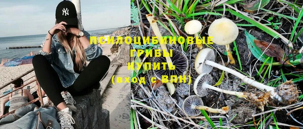 а пвп мука Бронницы
