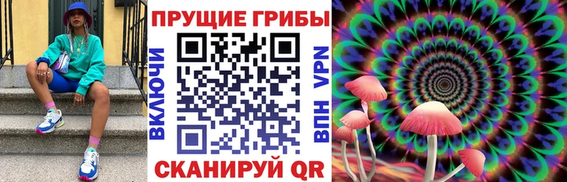 Псилоцибиновые грибы Magic Shrooms  Купить где  Дагестанские Огни 