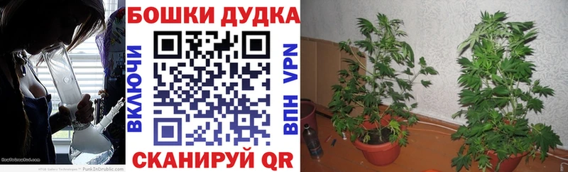 Купить закладки  Дагестанские Огни  Бошки марихуана тримм 